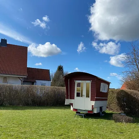 Moewenherz Dahme (Schleswig-Holstein)